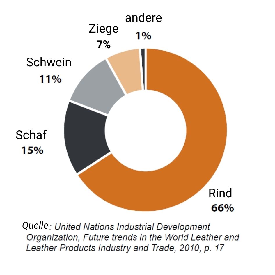 Umweltauswirkungen der Lederproduktion